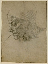 The Study of the Head of the Sibilla Cumana by Michelangelo